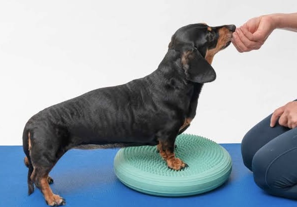 Komplex fizioterápiás kezelés