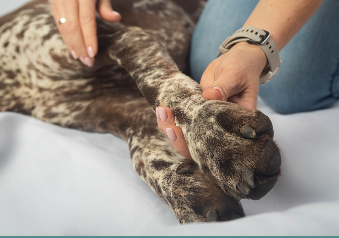 Manuális kezelések